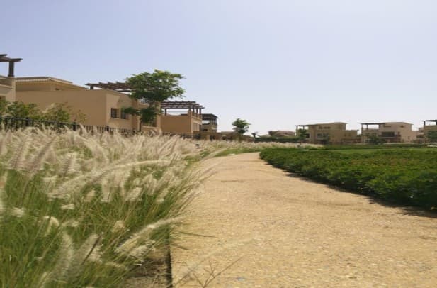 MIVIDA Compound – 10