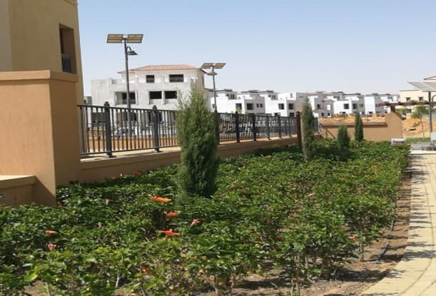 MIVIDA Compound – 4