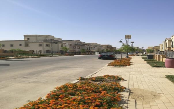 MIVIDA Compound – 6