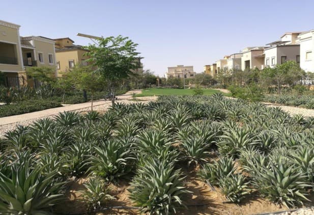 MIVIDA Compound – 8